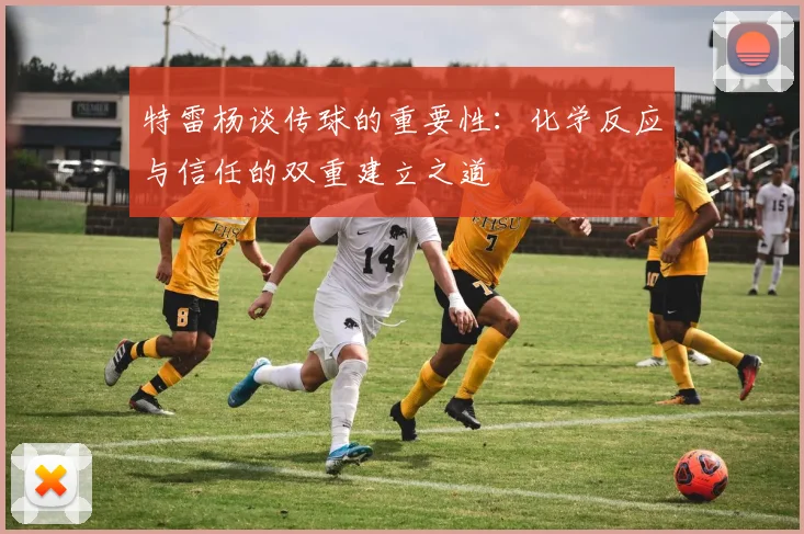 特雷杨谈传球的重要性：化学反应与信任的双重建立之道